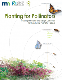 Residential Pollinator Habitat | MN Board Of Water, Soil Resources